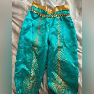 Princess Jasmine costume